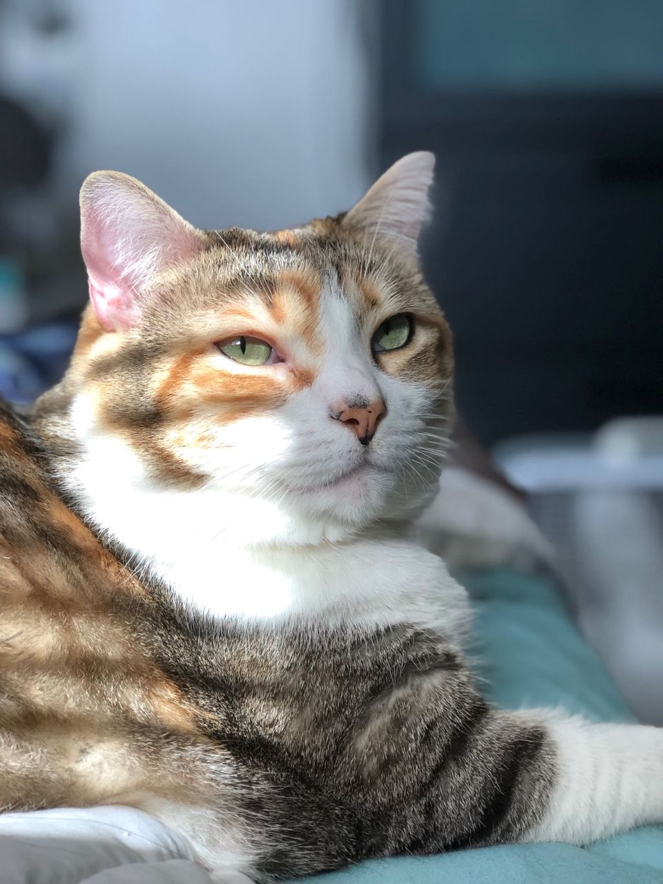 Prudence D.-avatar