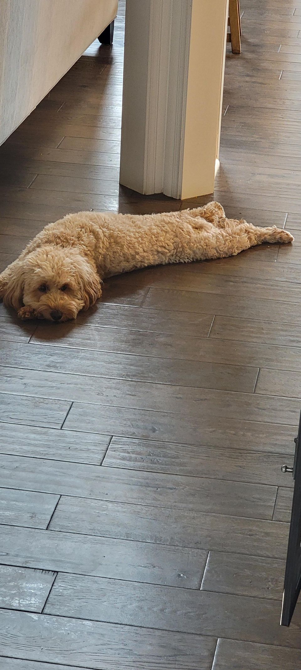 Steven Gwin E.-avatar