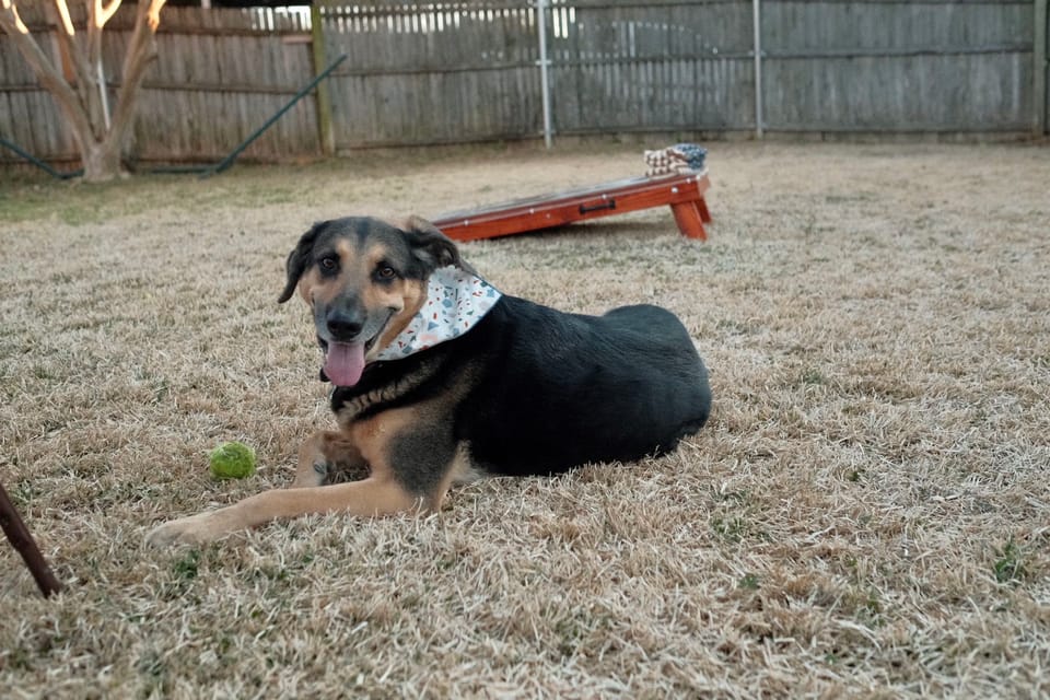 review