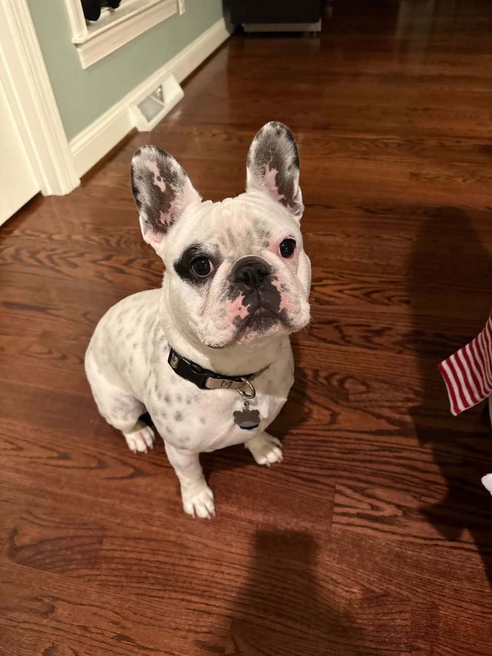 review
