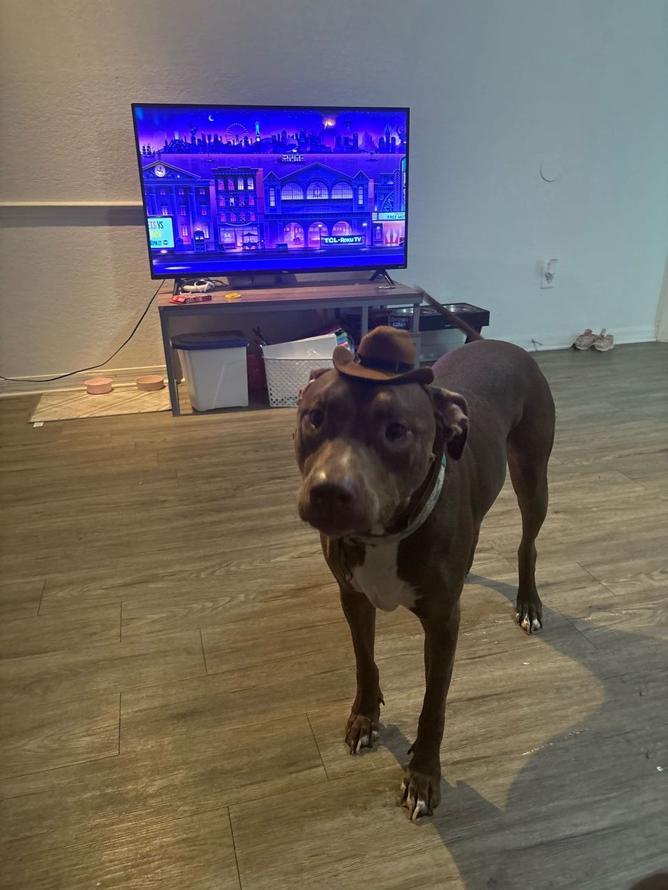 Jayla G.-avatar