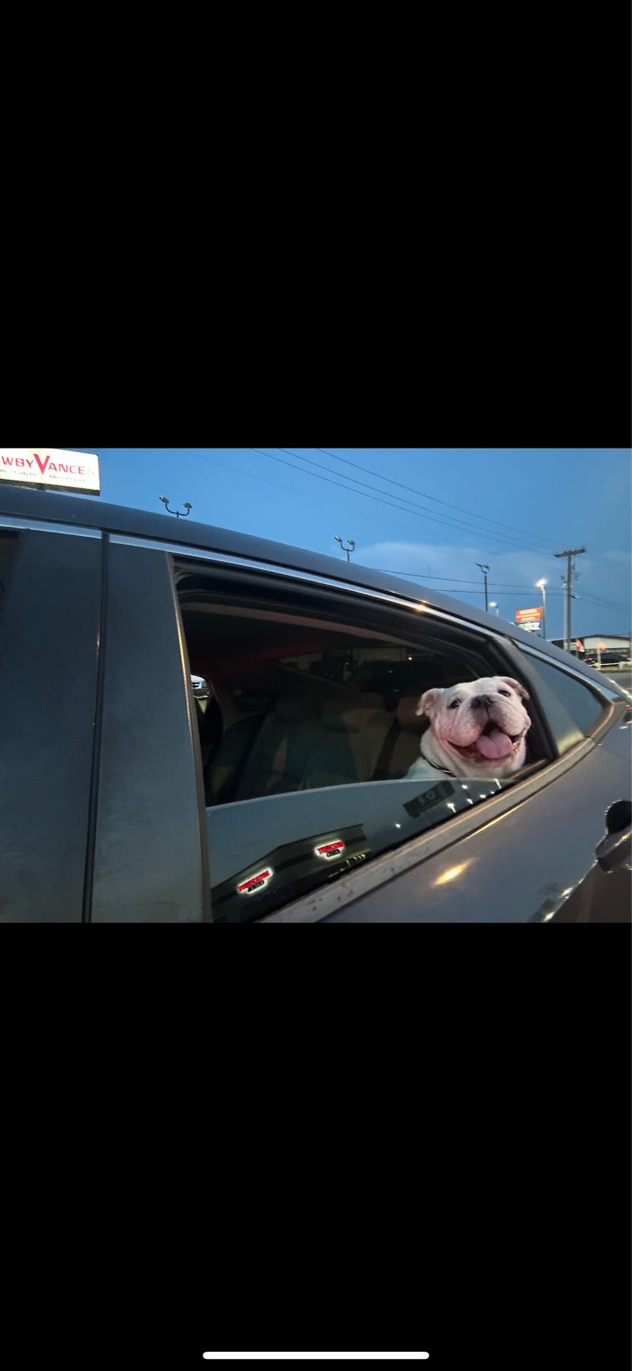 review