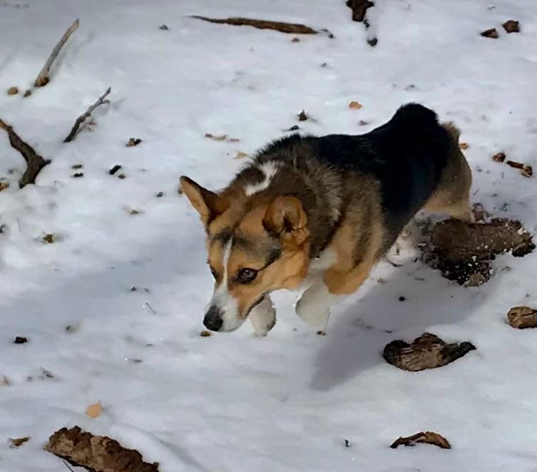 review