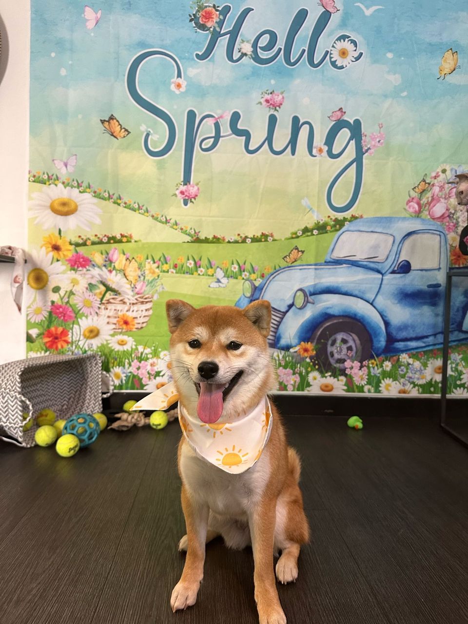 Alessandra M.-avatar