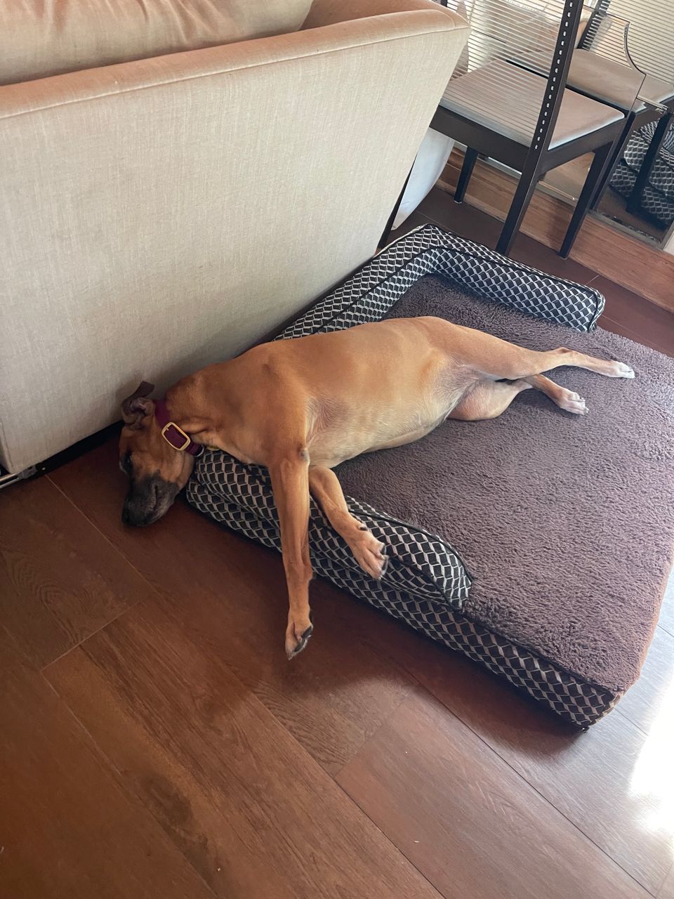 Heidi V.-avatar