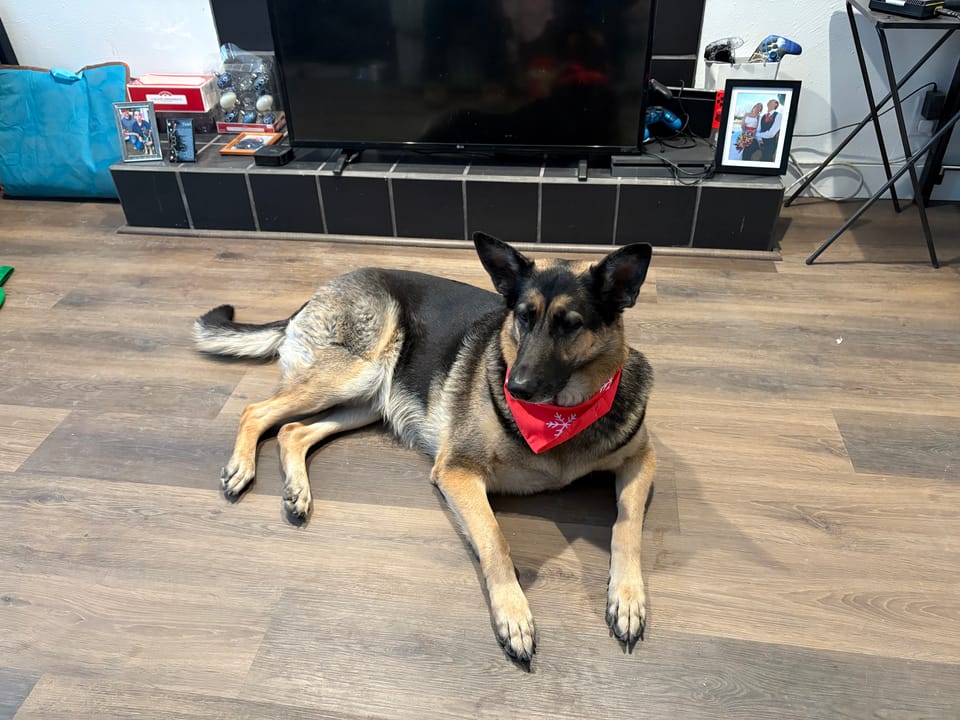 Crystal Lynn R.-avatar