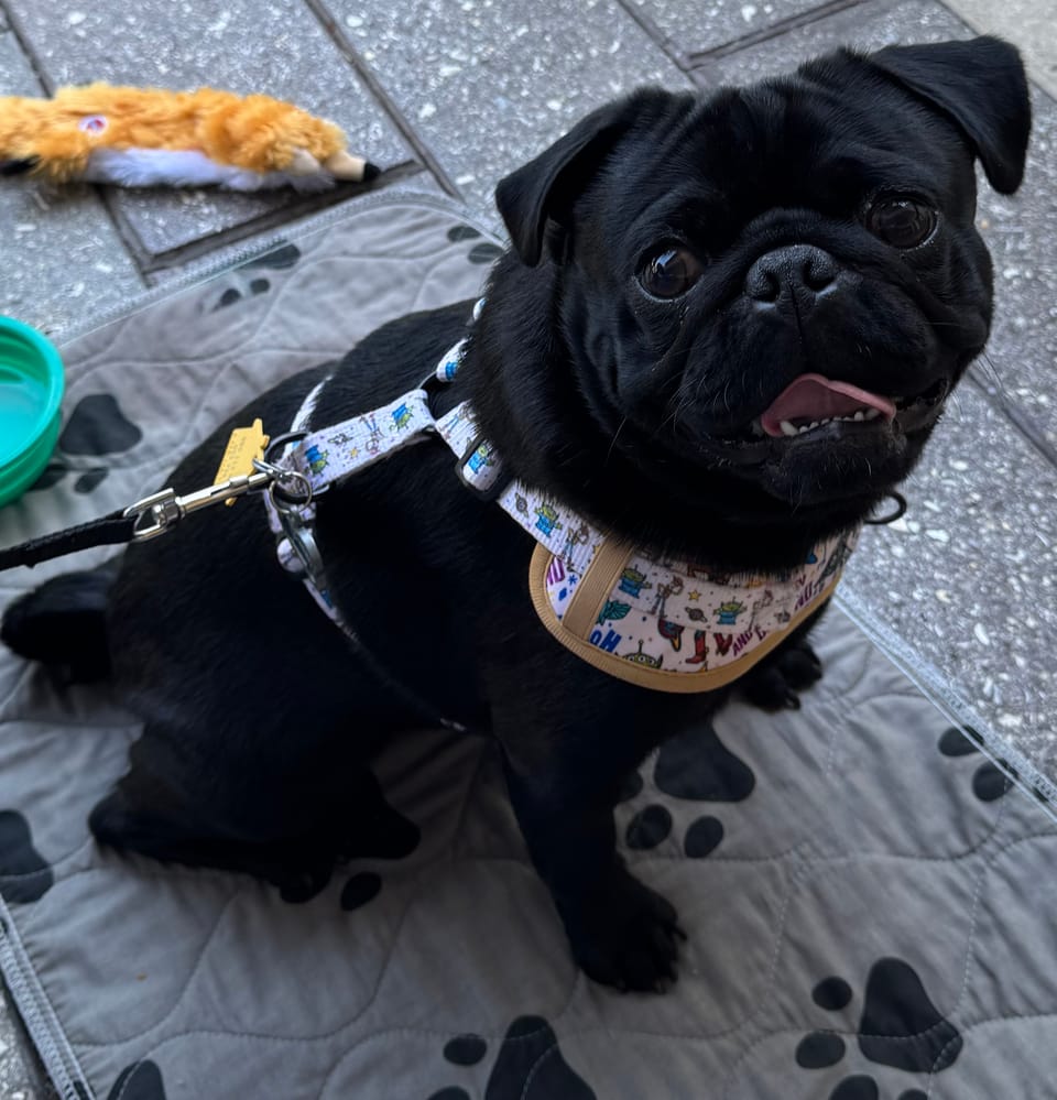 review