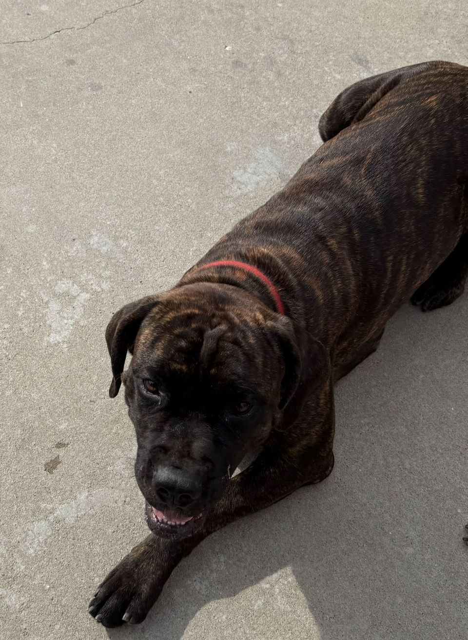 review