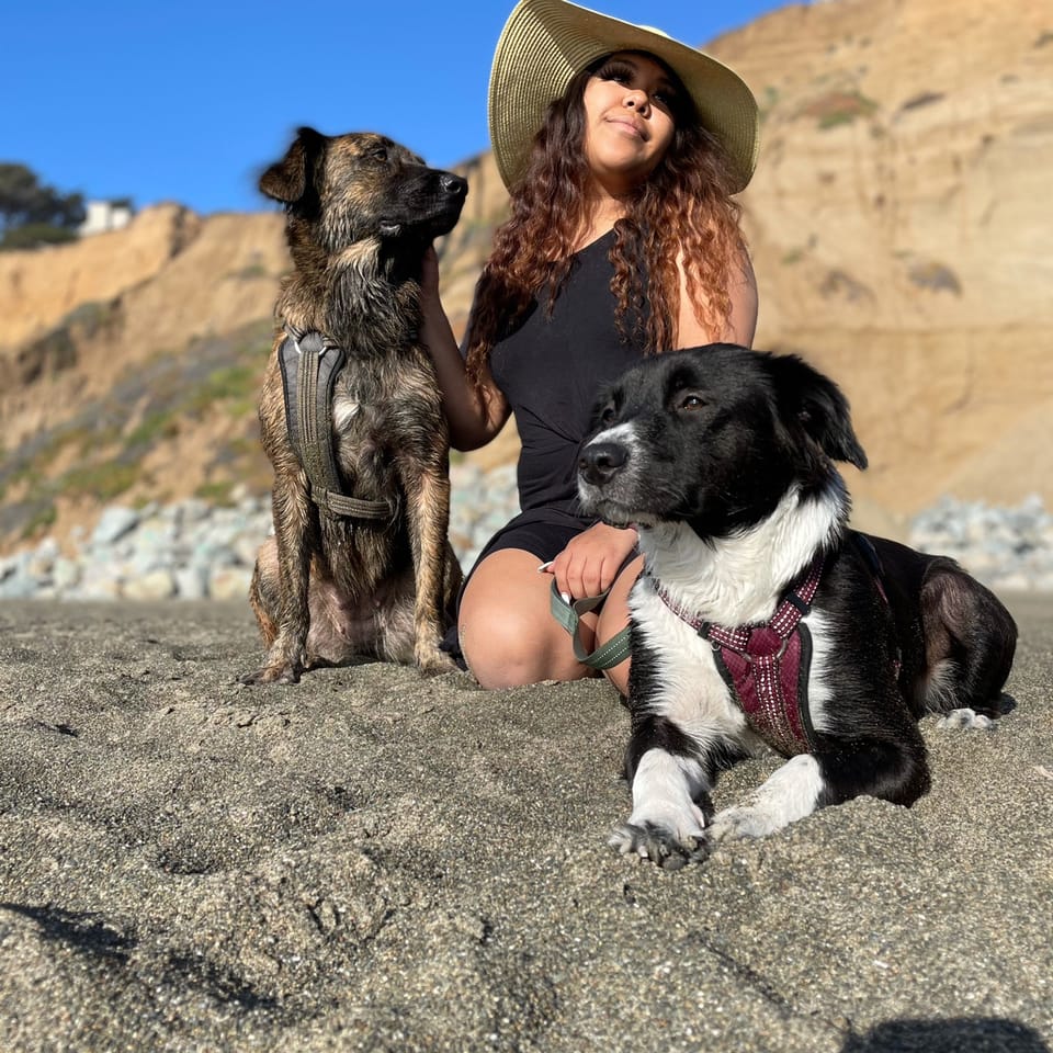 Book Services in Yuba City, CA with Lizet P (LIZET70619)