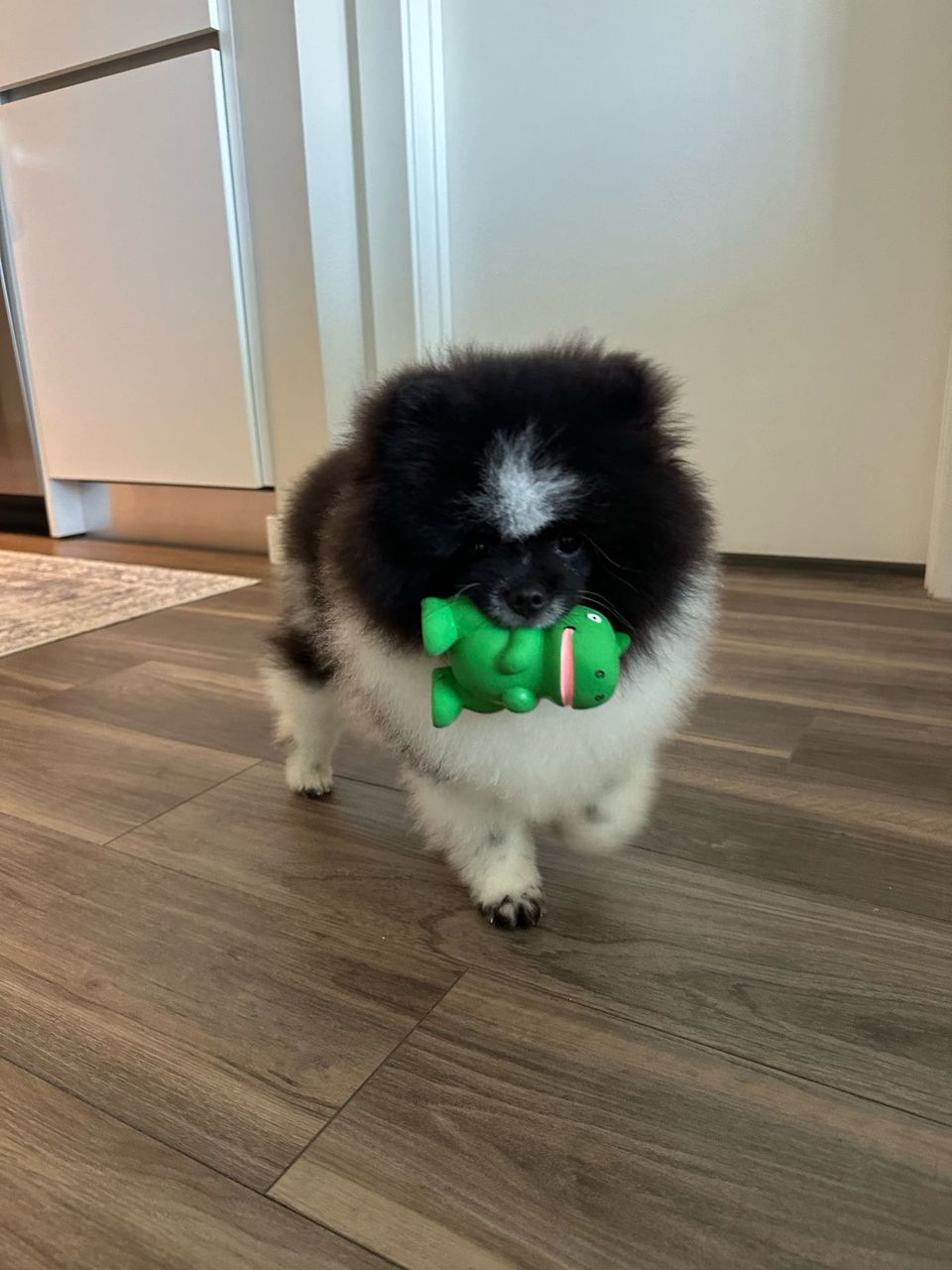 review