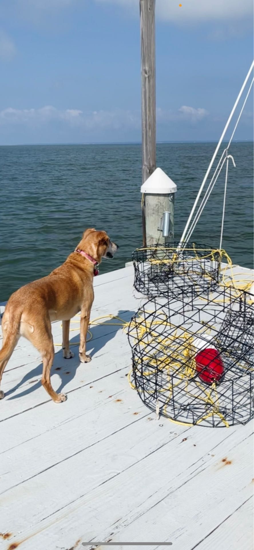 Christopher A.-avatar