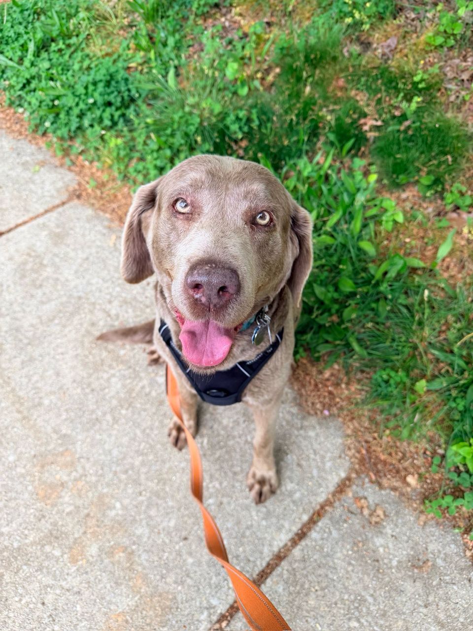 review