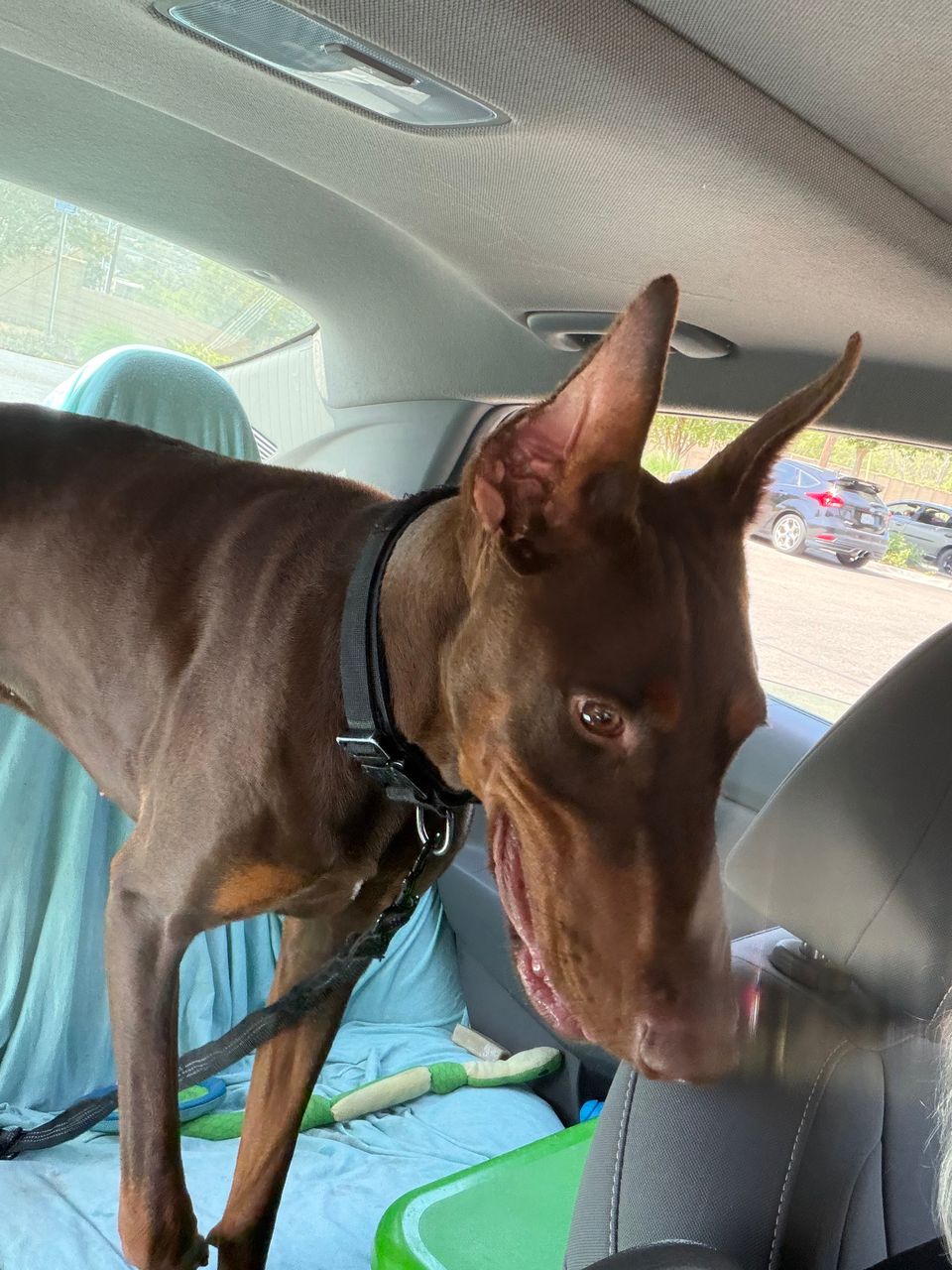 review