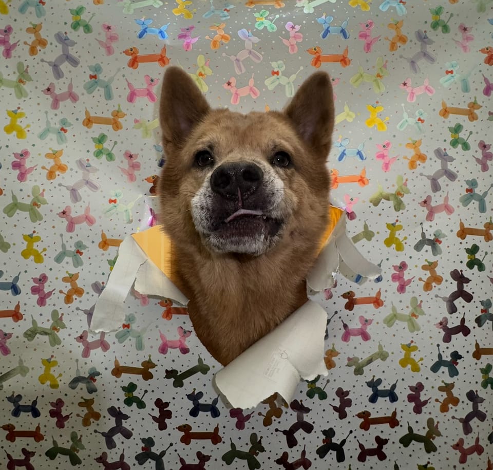 review