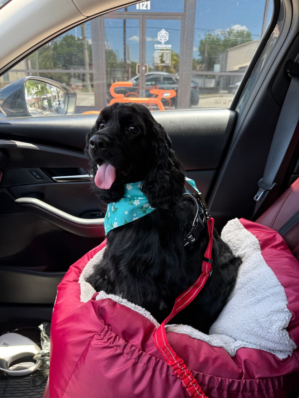 review