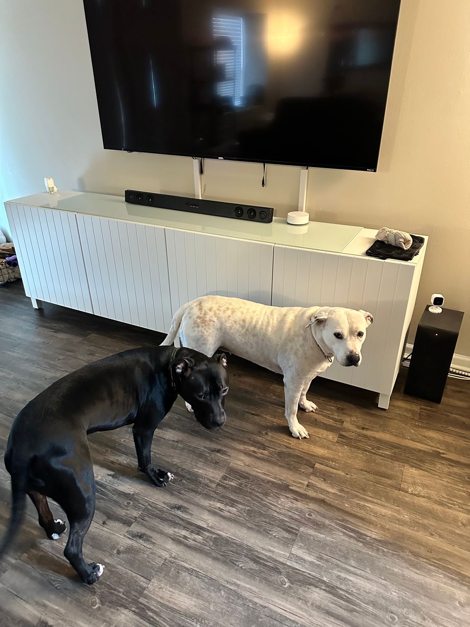 Aaron & Katelyn C.-avatar