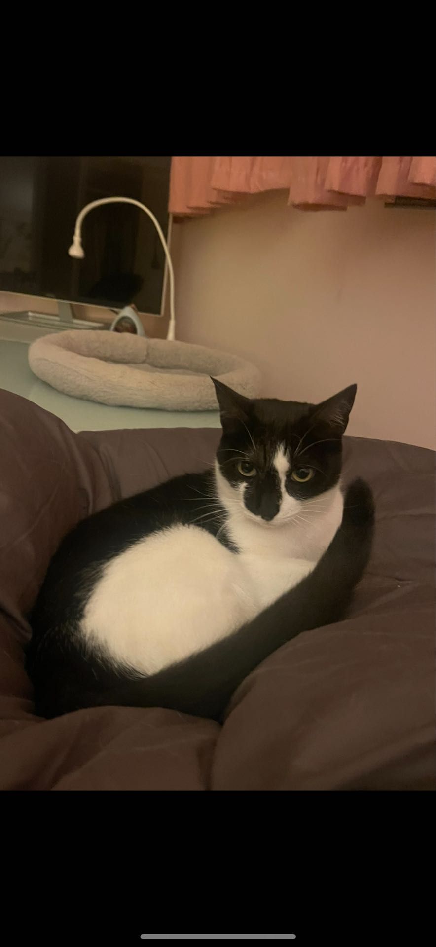 review