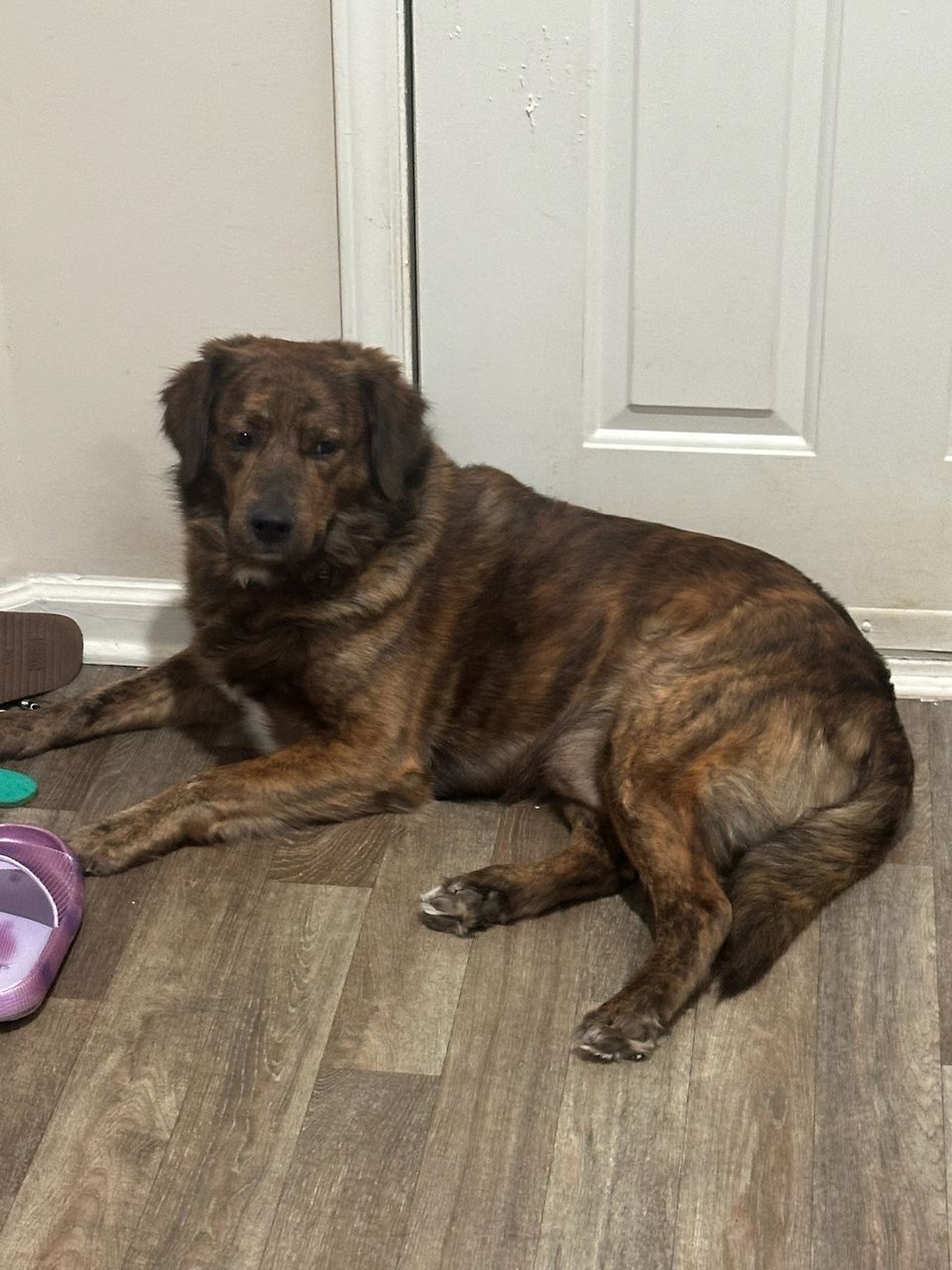 review