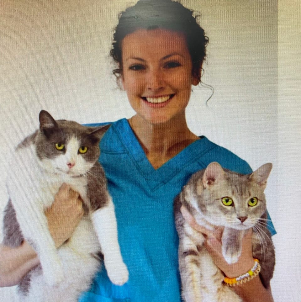 Book Services in Denver, CO with Marissa R (MARISSA20543)