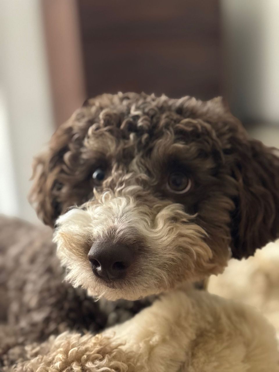 review