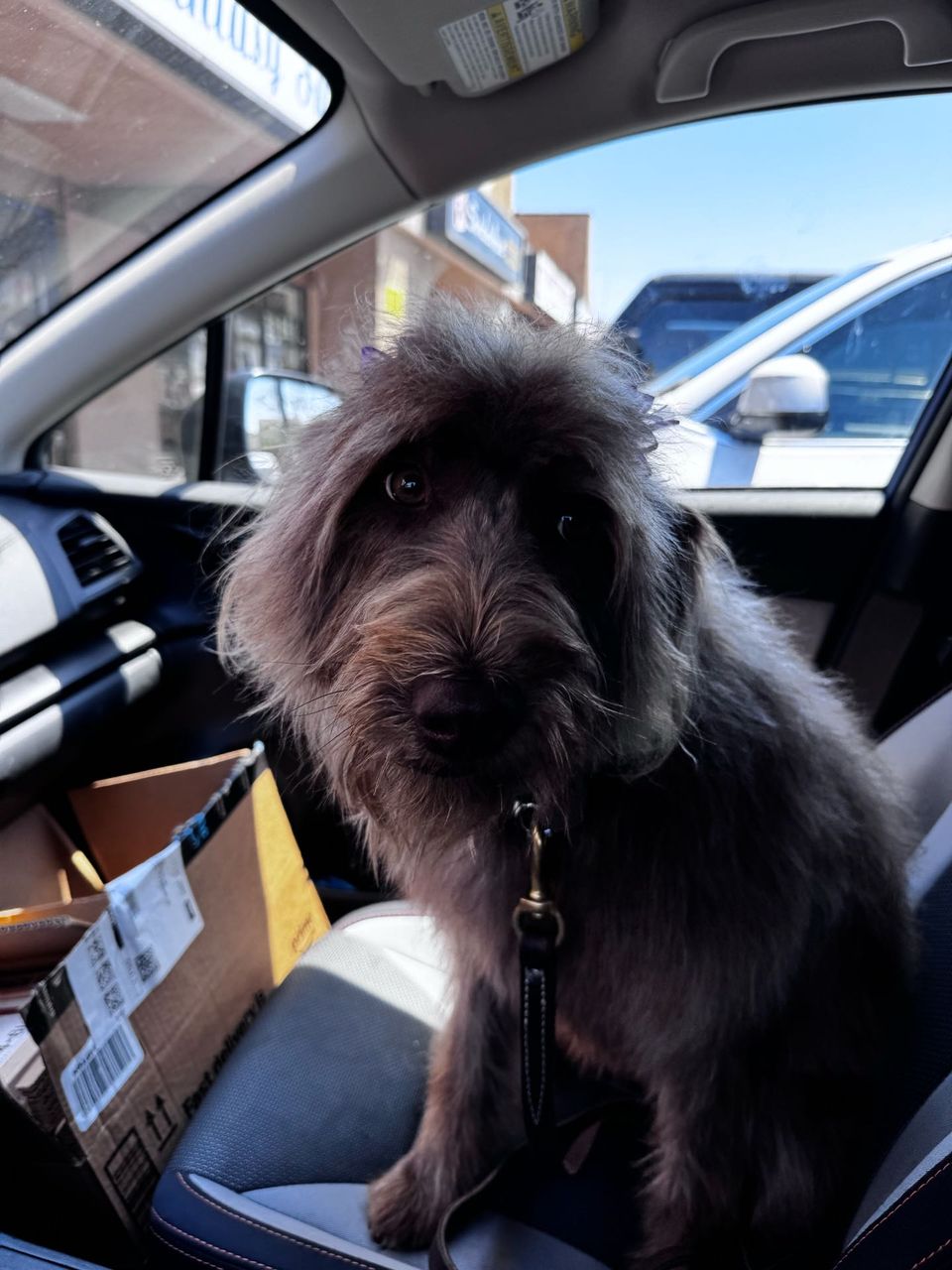 review