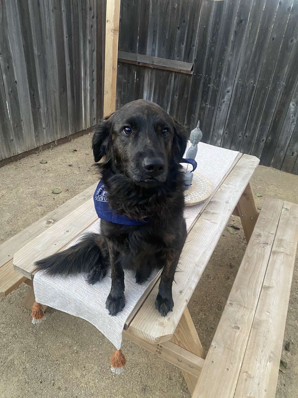 review