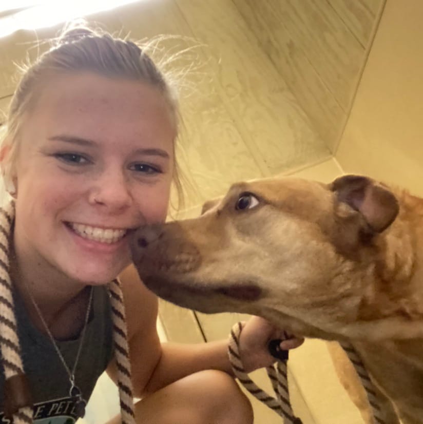 Book Services in Young Harris, GA with Mary T (MARY73184)