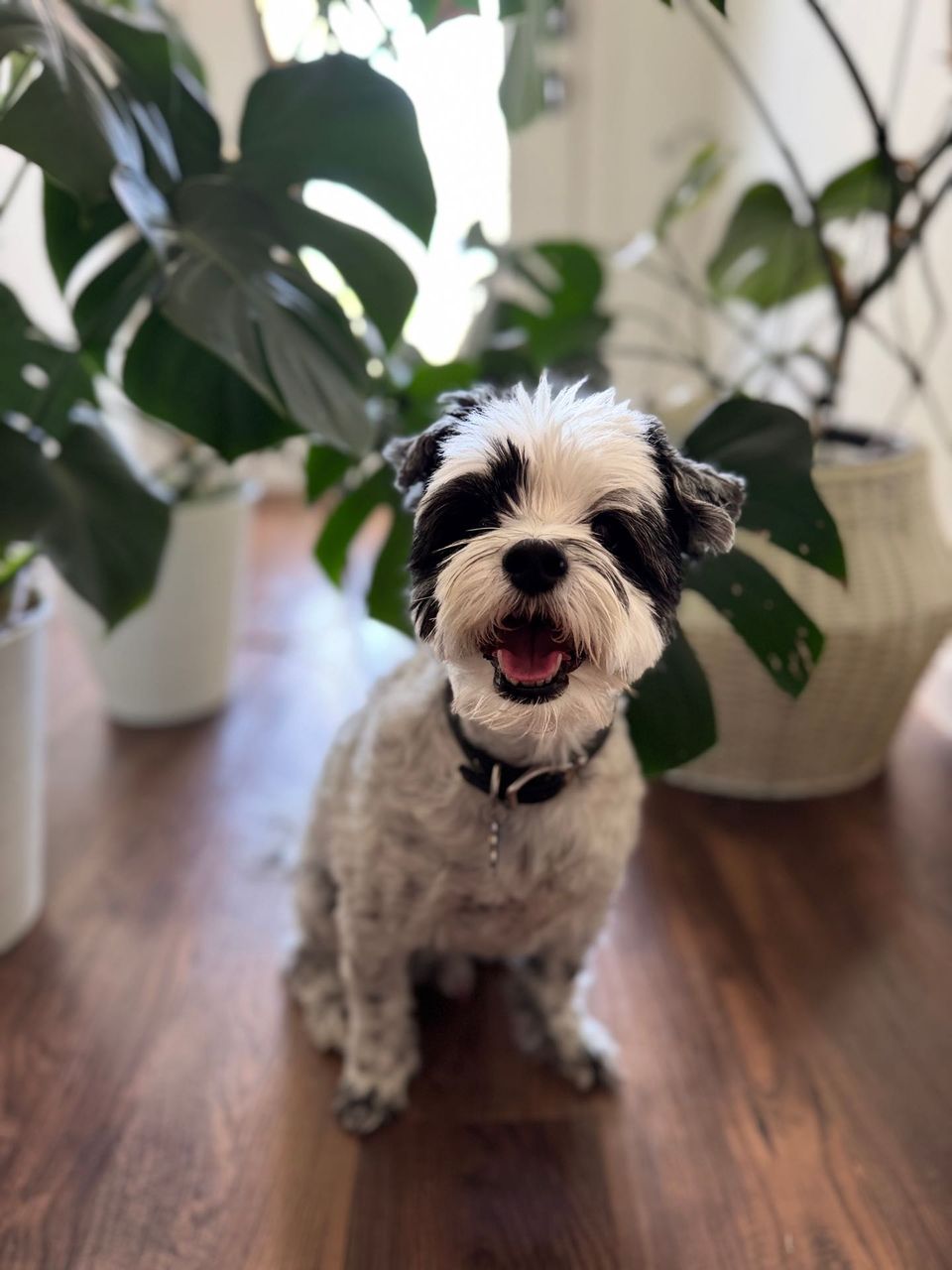 April A.-avatar