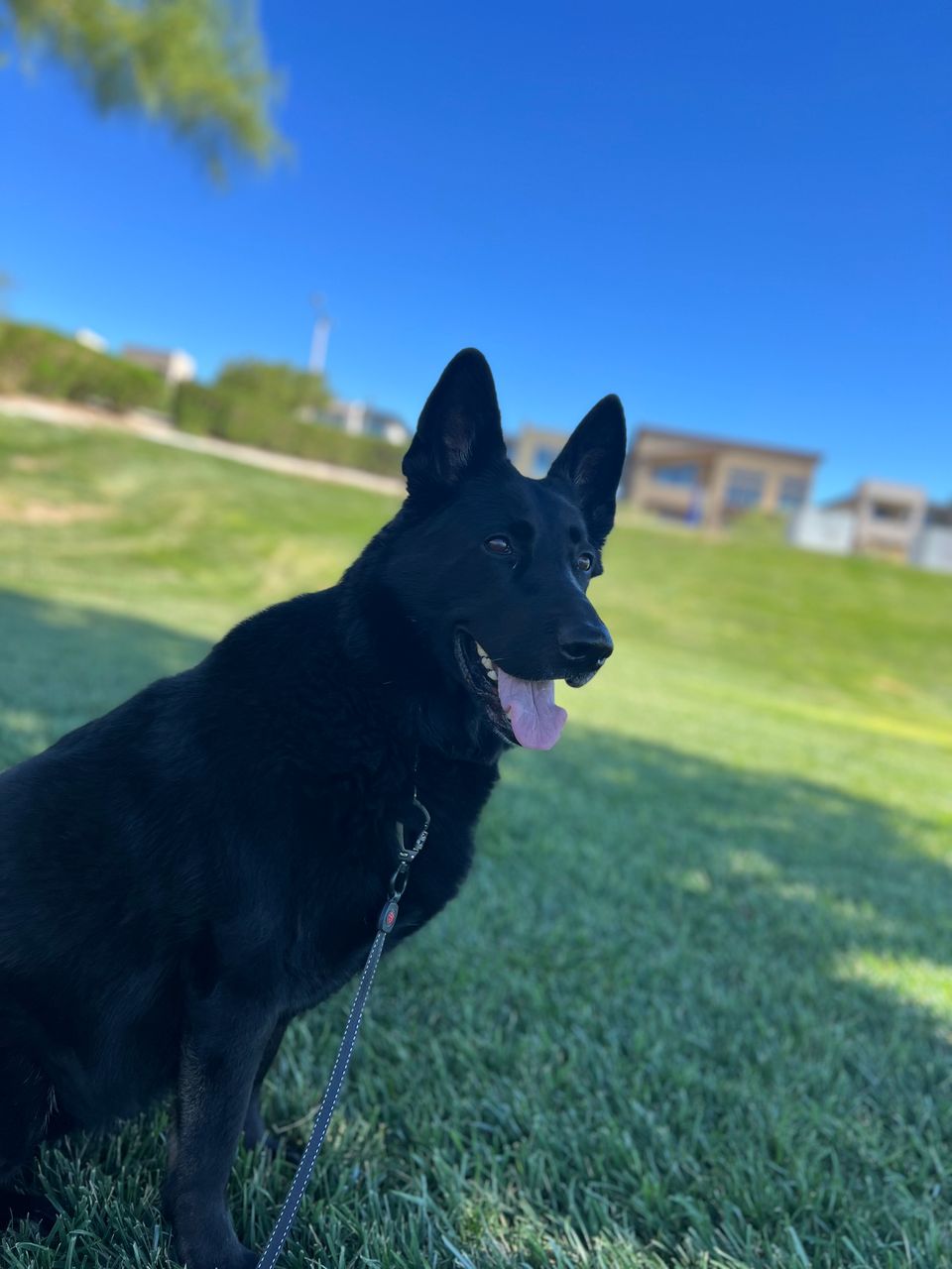 Georgia N.-avatar