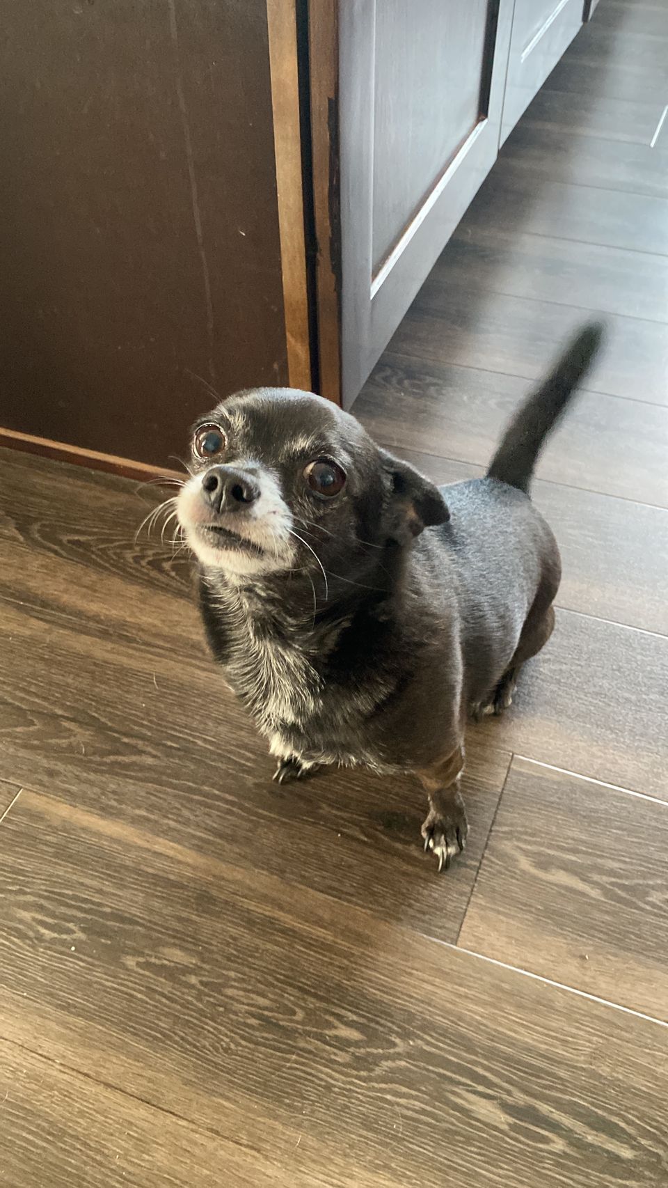 Luis&Mariel L.-avatar