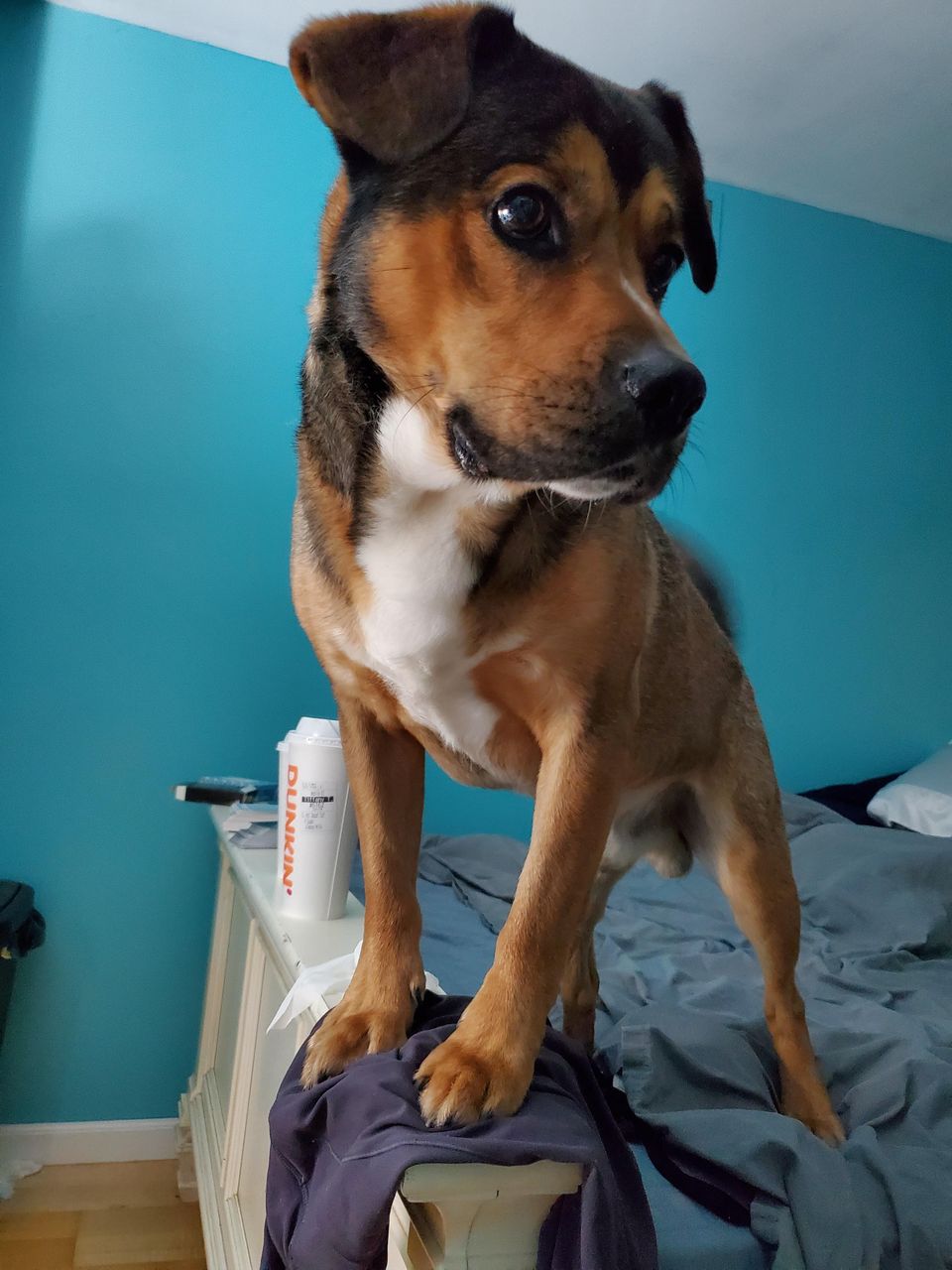 review