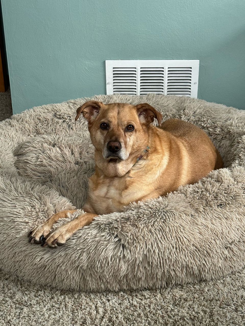 Christopher  G.-avatar