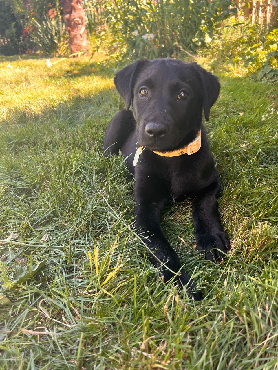 Morgan O.-avatar
