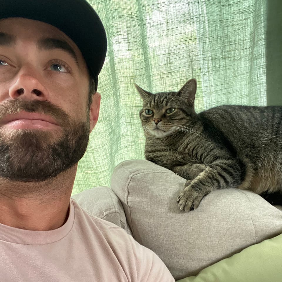 c4f243c2-44d0-46b3-9c18-b554f24de32d