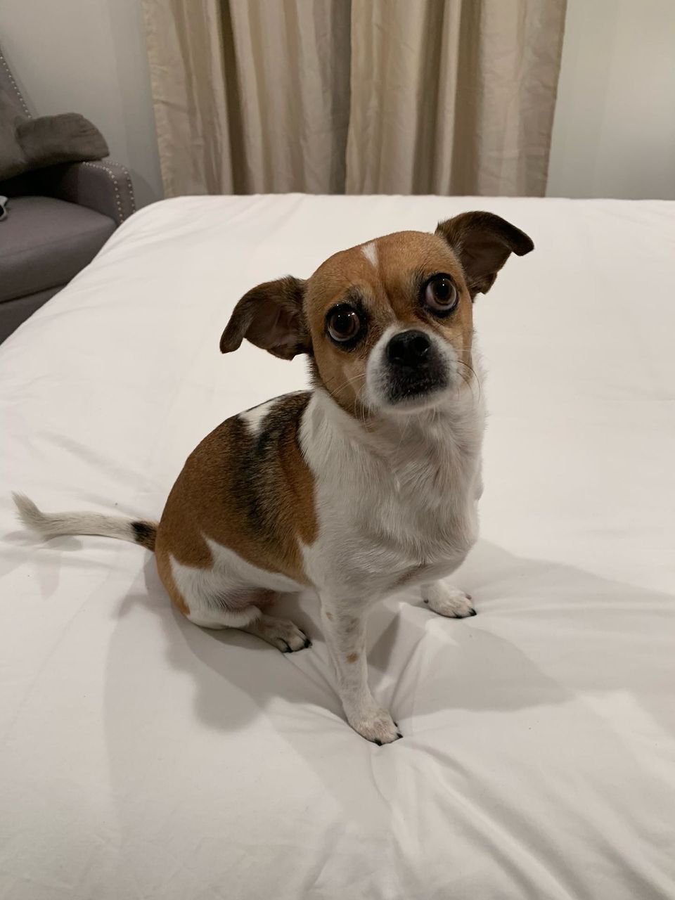 review