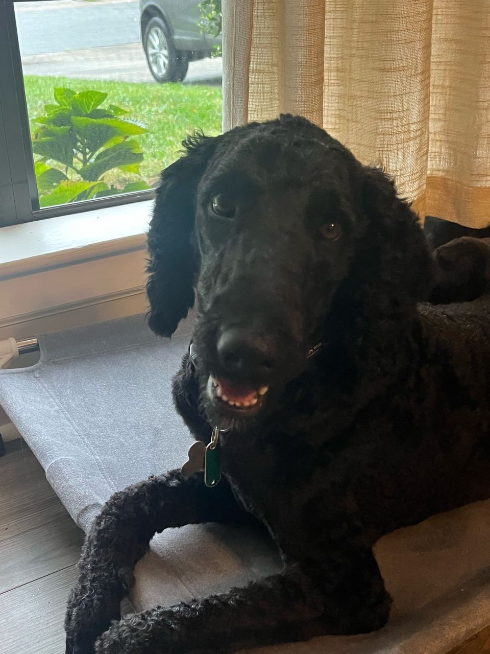 Sydney & Dorian W.-avatar