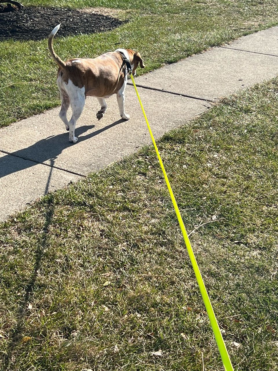 Donna-Marie C.-avatar