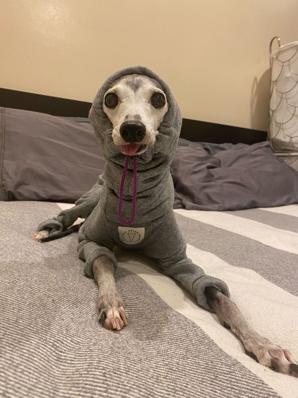 review
