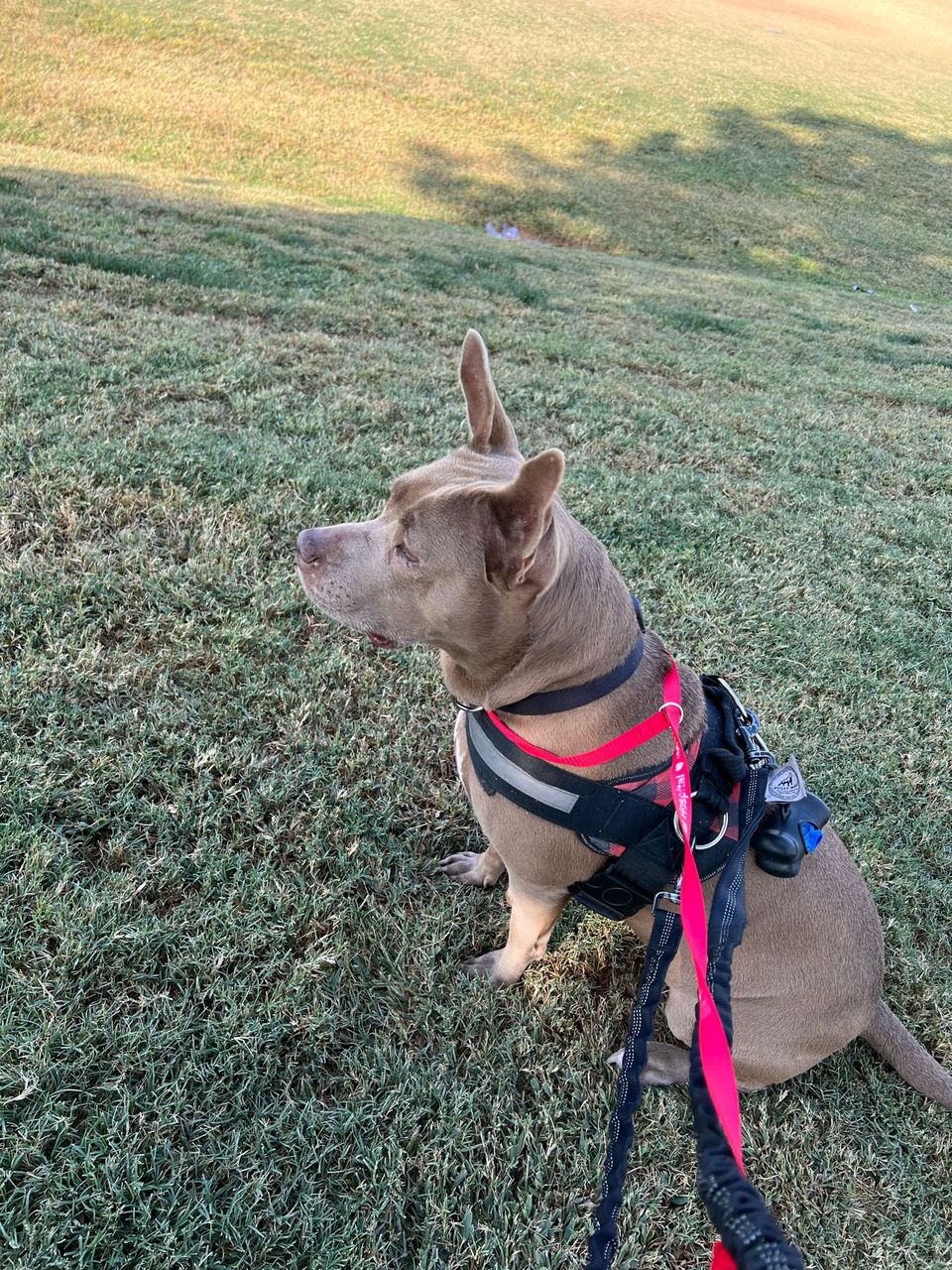 Book Services in Bakersfield, CA with Roger S (ROGER45019)