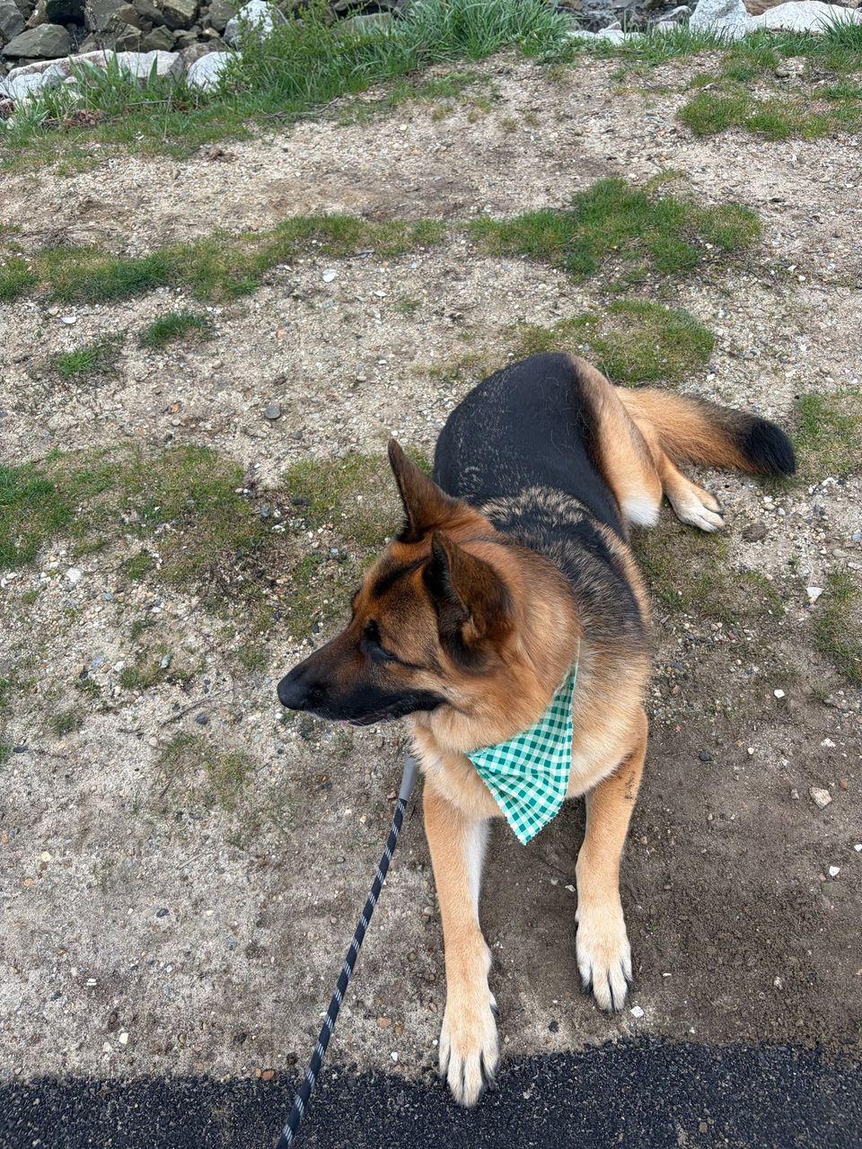 review