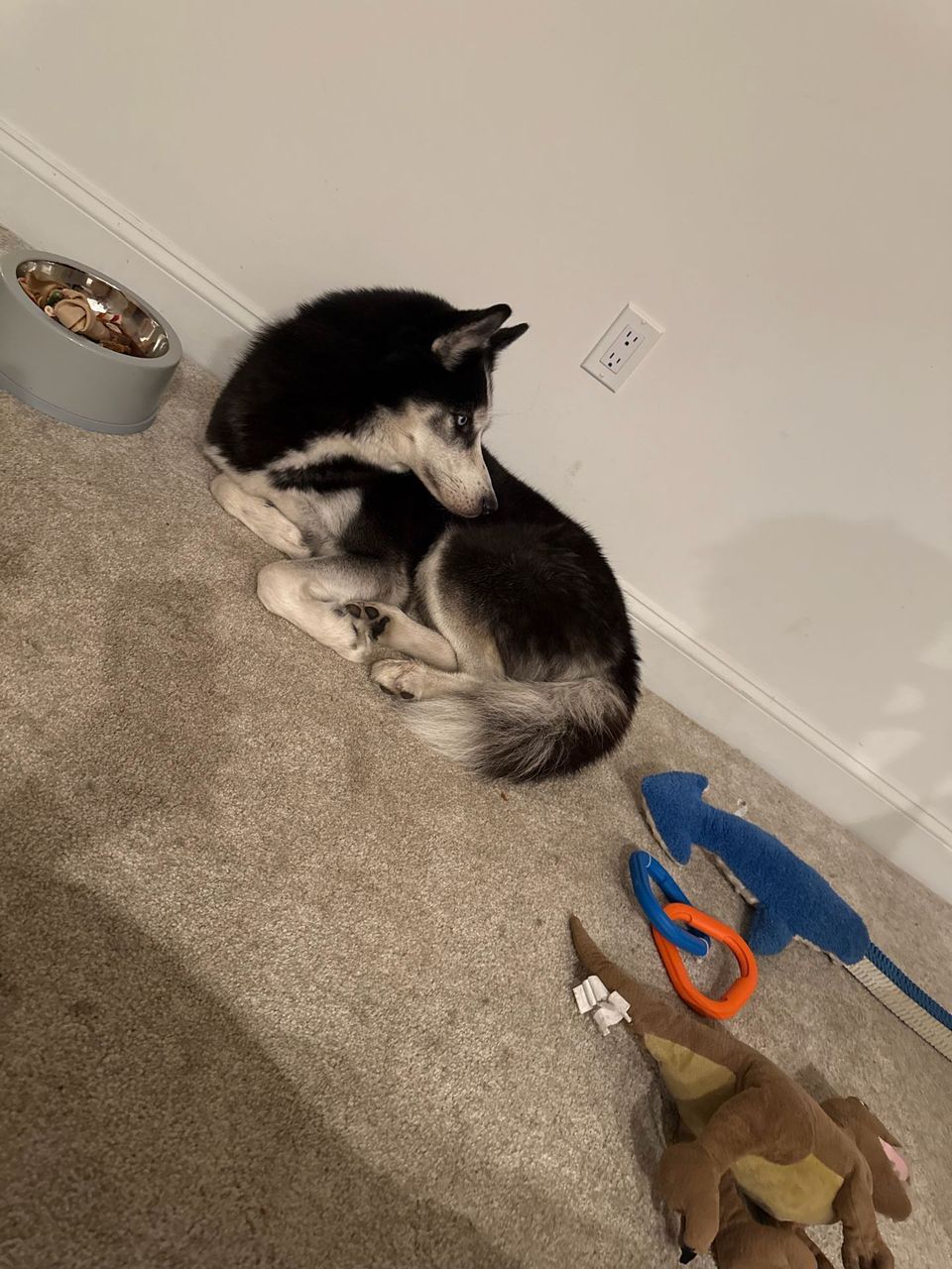 katherine  M.-avatar