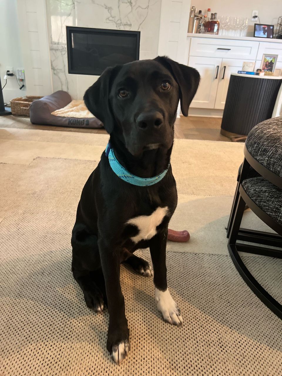 Meagan R.-avatar