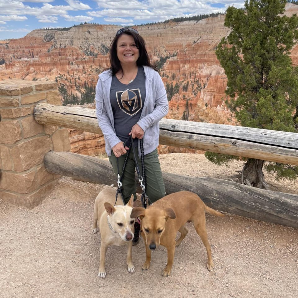 Book Services in Lincolnton, NC with Jodi K (JODI04600)