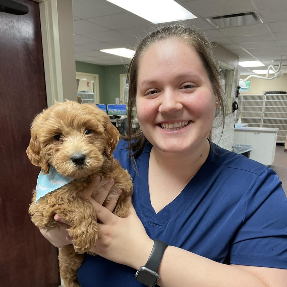 Book Services in Lawrenceville, GA with Madison D (MADISON99988)