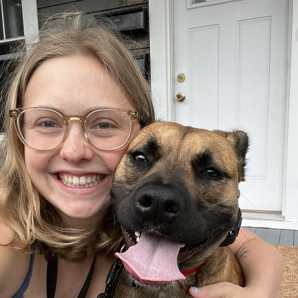 Top Dog Sitters and Boarders in Tully, NY Wag!