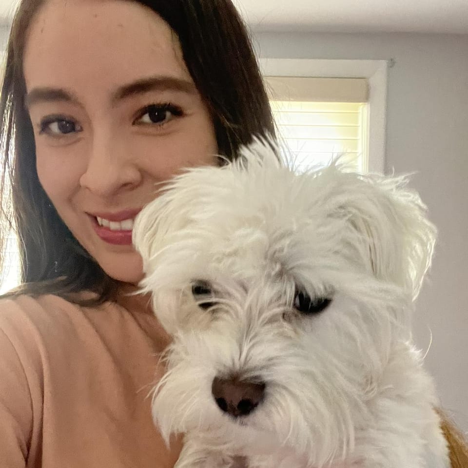 Best Dog Walkers in Barrington, IL Wag!