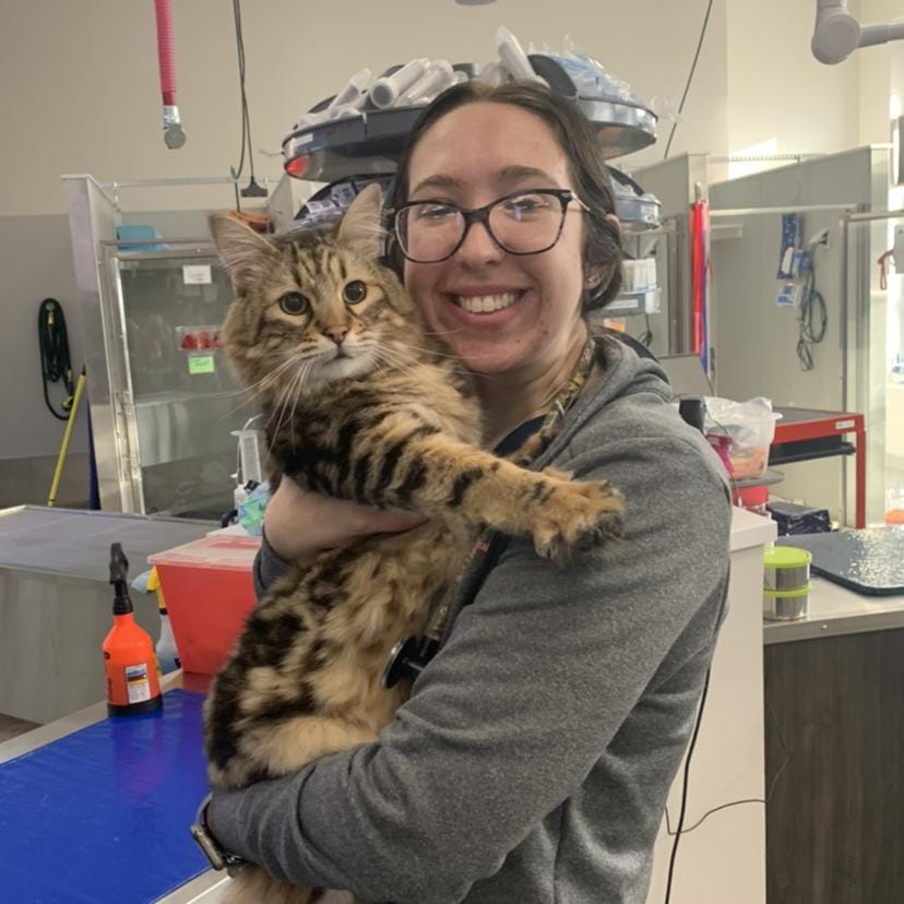 Book Services in Bel Air South, MD with Bryce M (BRYCE51313)