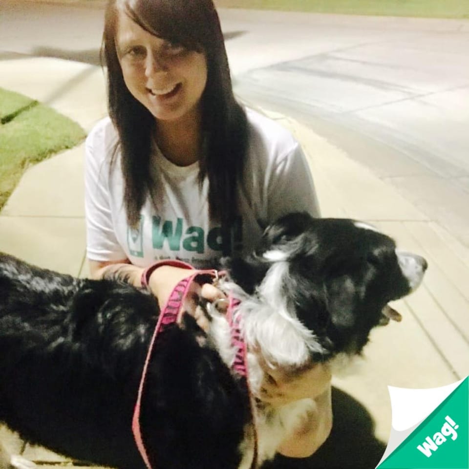 Book Services in Lewisville, TX with Kayla L (KAYLA56654)