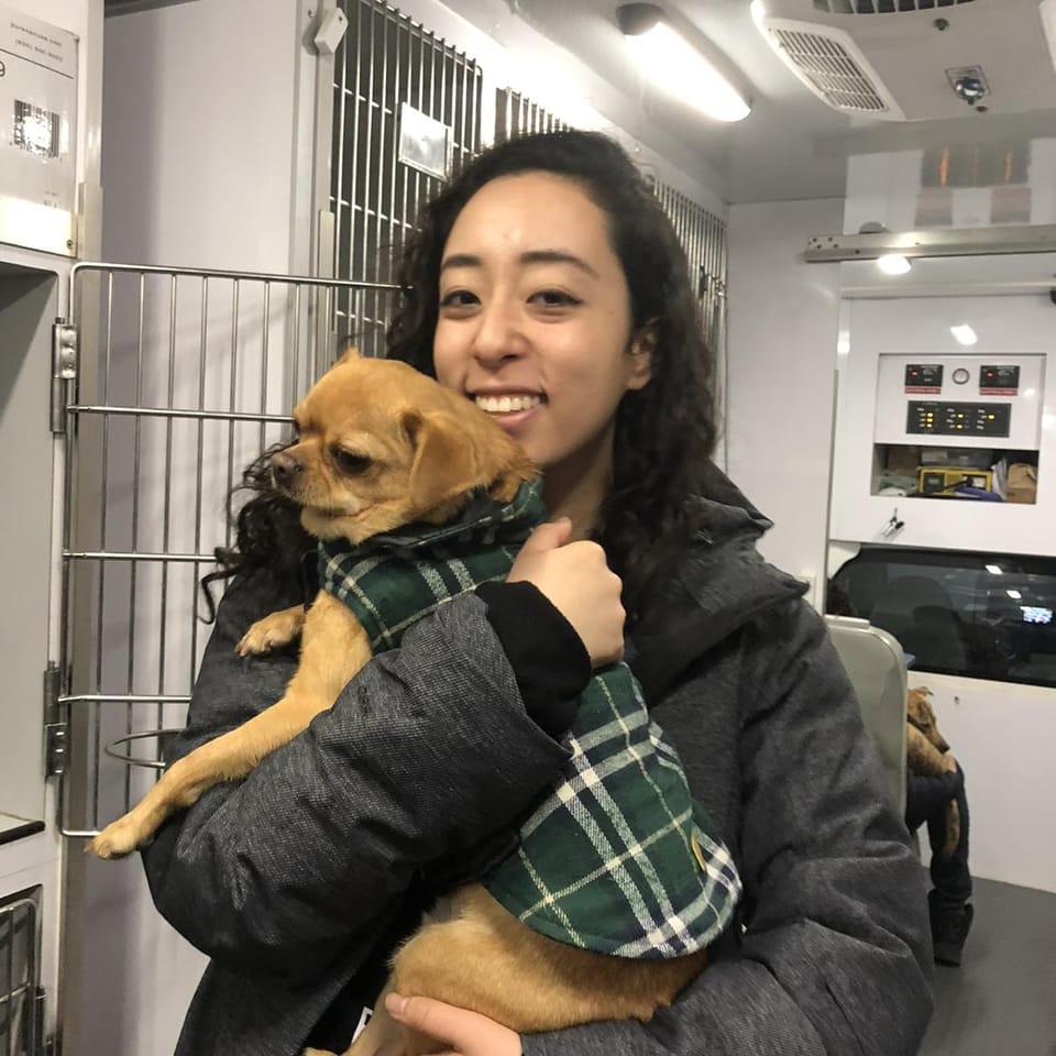 Book Services in Brooklyn, NY with Liana Y (LIANA11708)