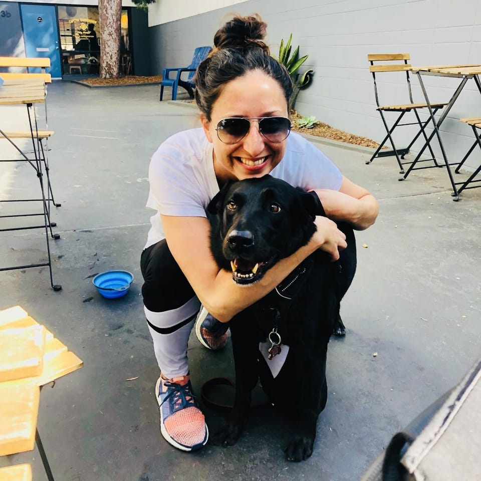 San Diego Wags Daycare Top Dog Sitters And Boarders In Spring